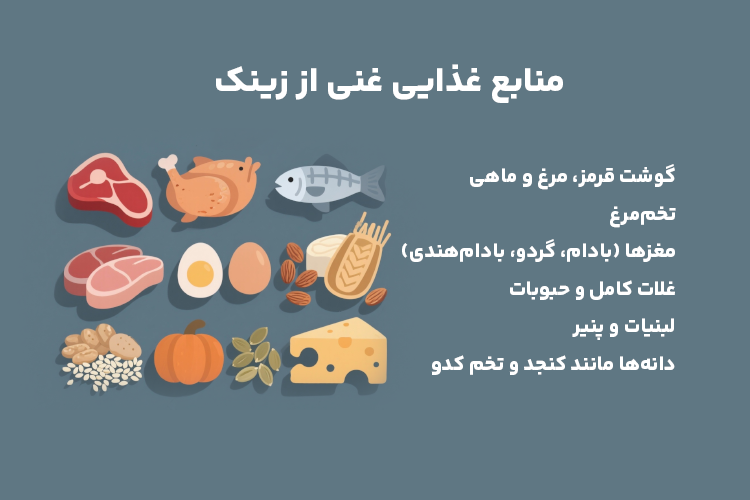 منابع غذایی غنی از زینک